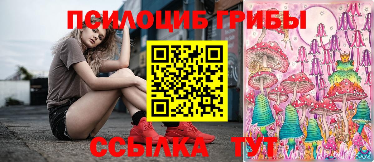 Галлюциногенные грибы GOLDEN TEACHER  Псилоцибиновые грибы Cubensis  Вход с VPN  Курчалой 