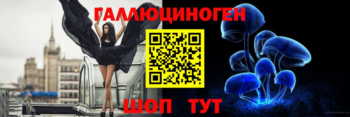 Галлюциногенные грибы Psilocybine cubensis Курчалой