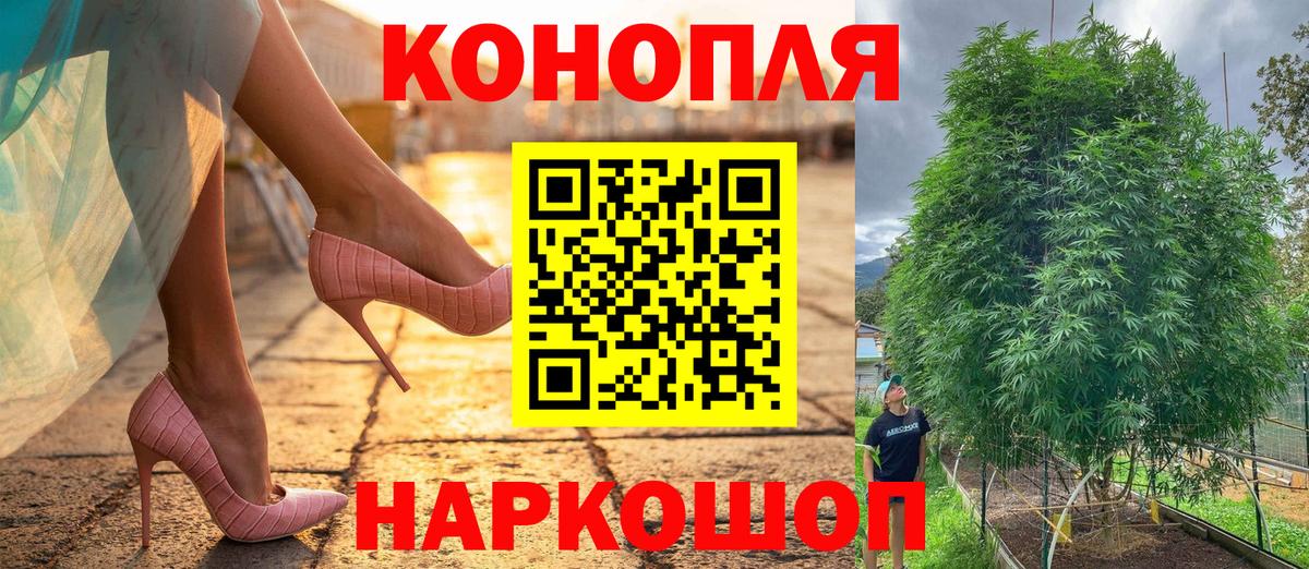 Бошки Шишки сатива Курчалой